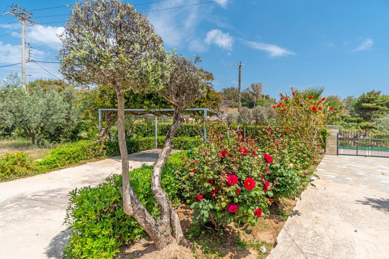Legrena Beach House سونيو المظهر الخارجي الصورة